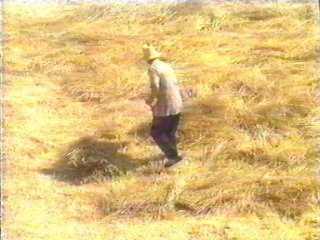 CAMPO (89)  LABRANZA